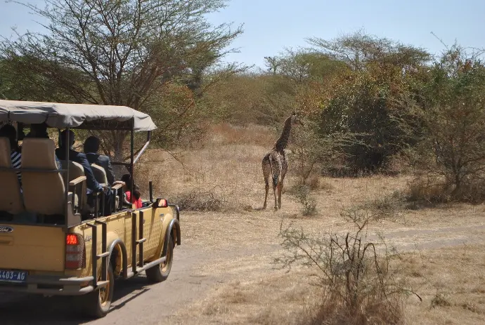 safari à la réserve de Bandia au Sénégal