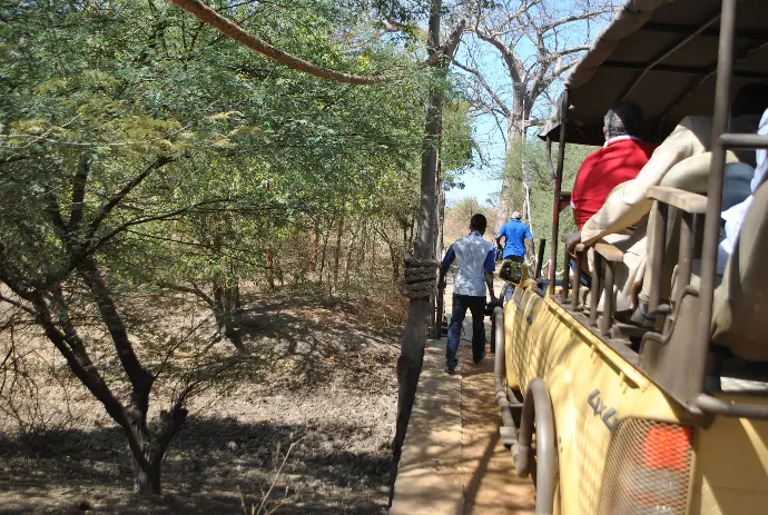 Safari à la réserve de Bandia au Sénégal